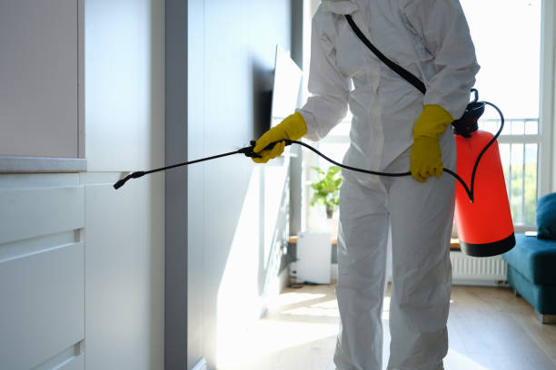 Best Industrial Mold Remediation in Delft Colony, CA