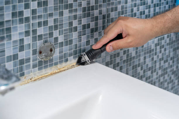 Best Health and Safety Mold Remediation in Delft Colony, CA