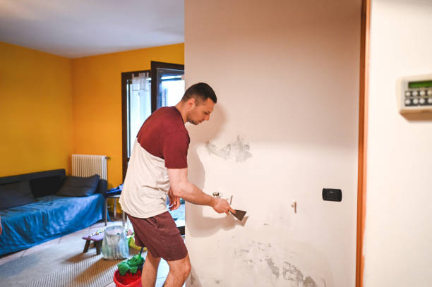  Delft Colony, CA Mold Removal Pros